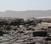 Maur-247