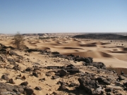 Maur-256