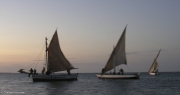Maur-158