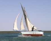 Maur-162