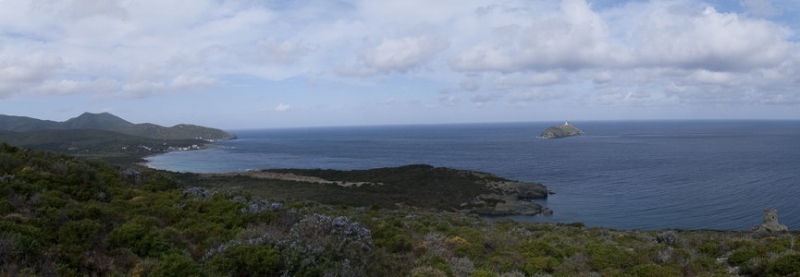 capcorse-12