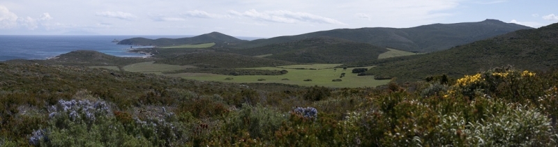 capcorse-13