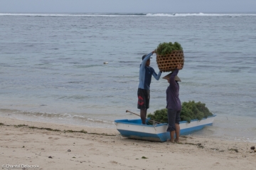 Bali-Culturedesperles-13