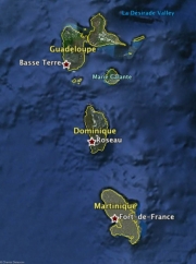 Dominique-11 Dominique-11