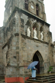 Dominique-25 Dominique-25