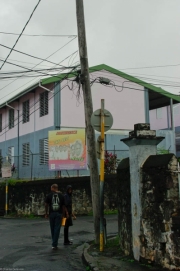 Dominique-26 Dominique-26