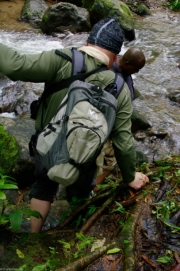 Dominique-31 Dominique-31