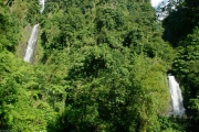Dominique-46