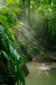 Dominique-47 Dominique-47