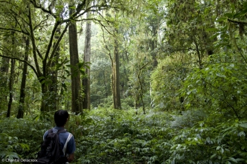 Bali-Foretprimaire-14