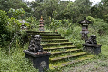 Bali-Foretprimaire-18