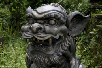 Bali-Foretprimaire-19