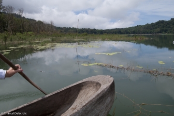 Bali-Foretprimaire-22