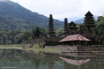 Bali-Foretprimaire-24