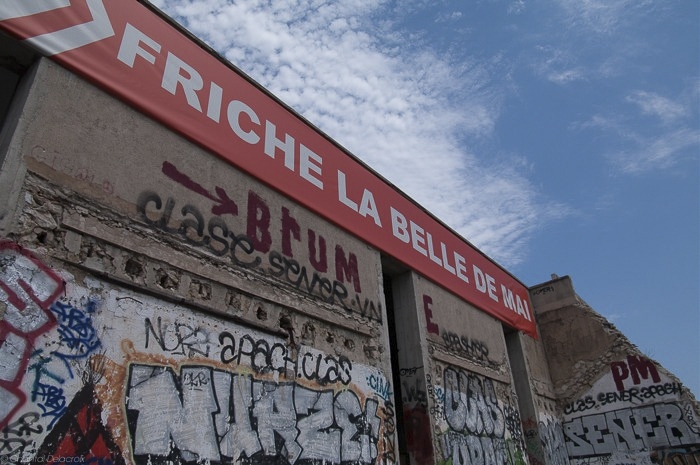 friche-11