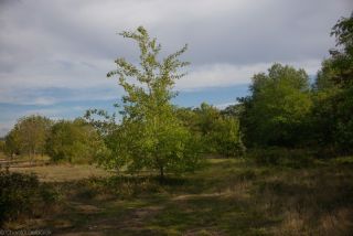 Integraterre-31