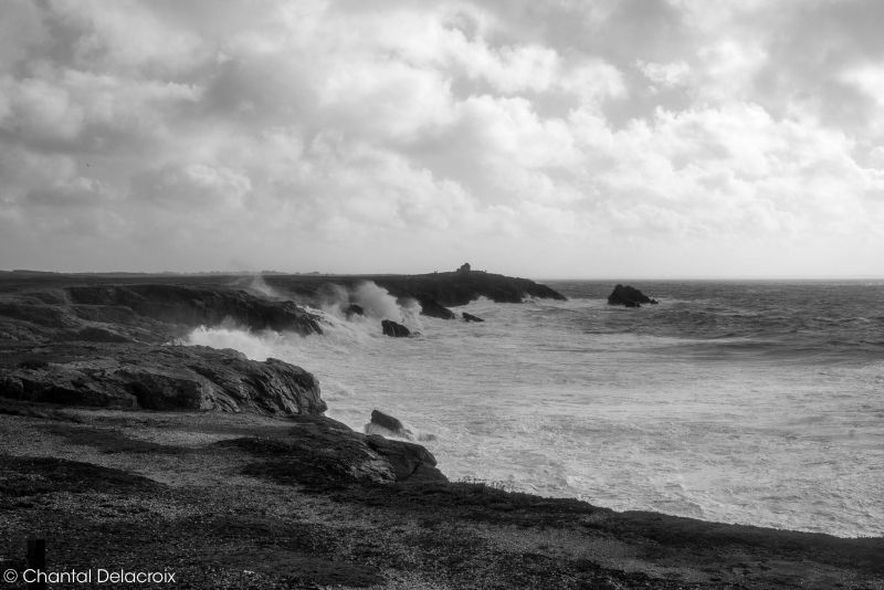 CD-221106-118 CD-221106-118