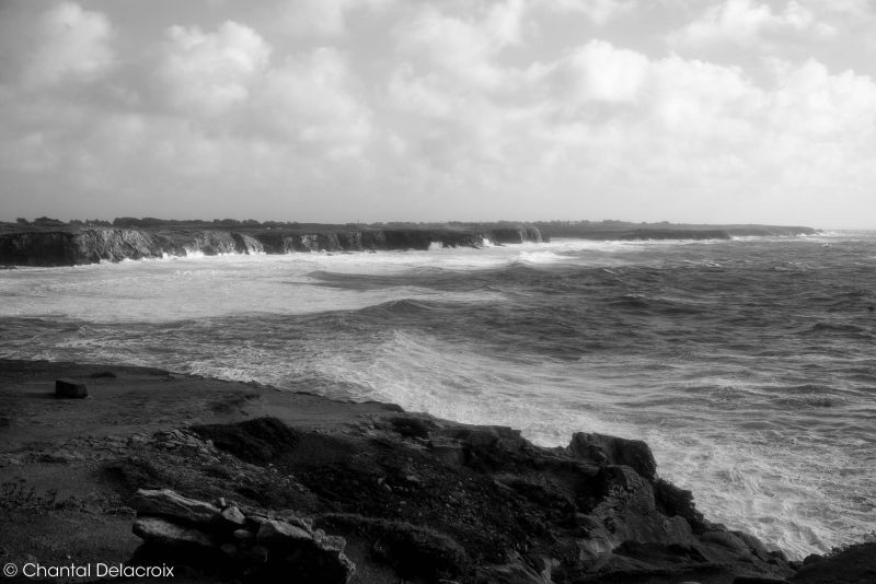 CD-221106-125 CD-221106-125