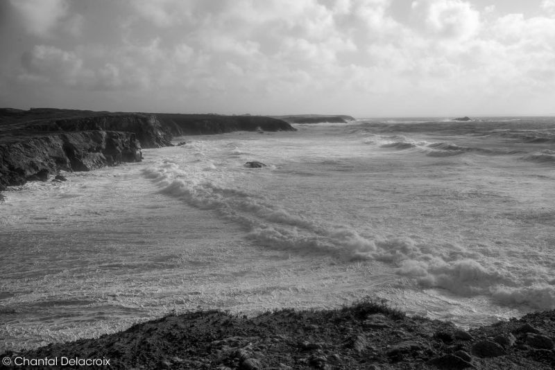 CD-221106-136 CD-221106-136