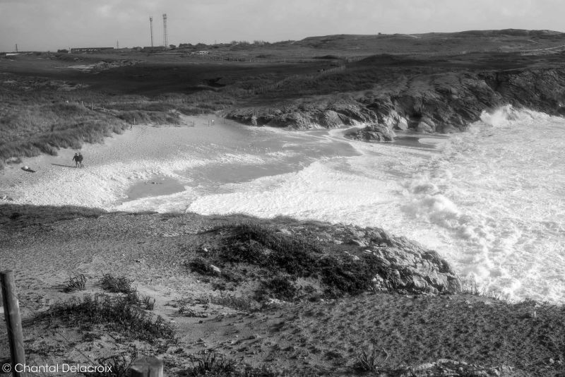 CD-221106-137 CD-221106-137