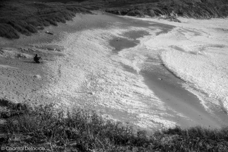 CD-221106-139 CD-221106-139