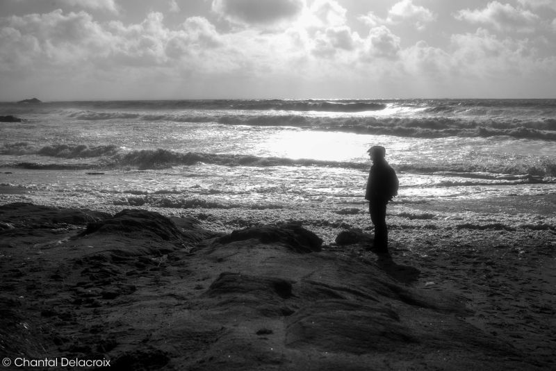 CD-221106-142 CD-221106-142