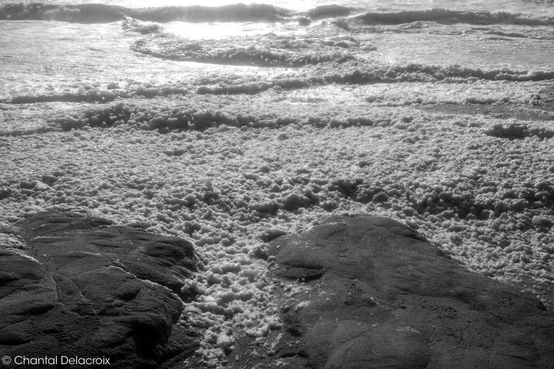 CD-221106-145 CD-221106-145