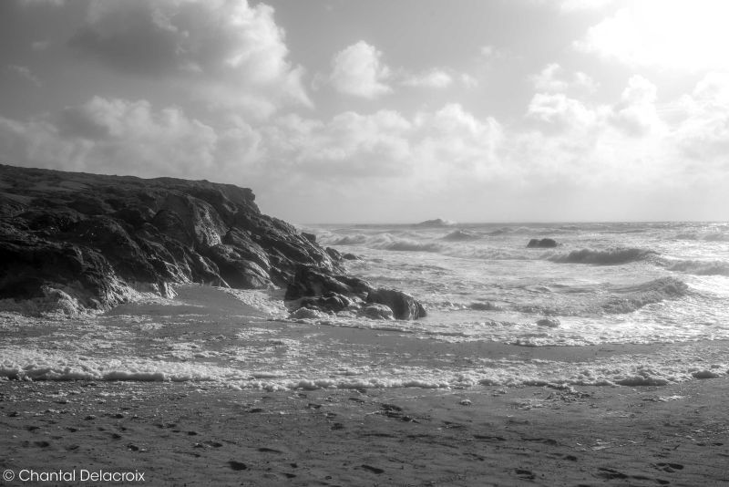 CD-221106-149 CD-221106-149