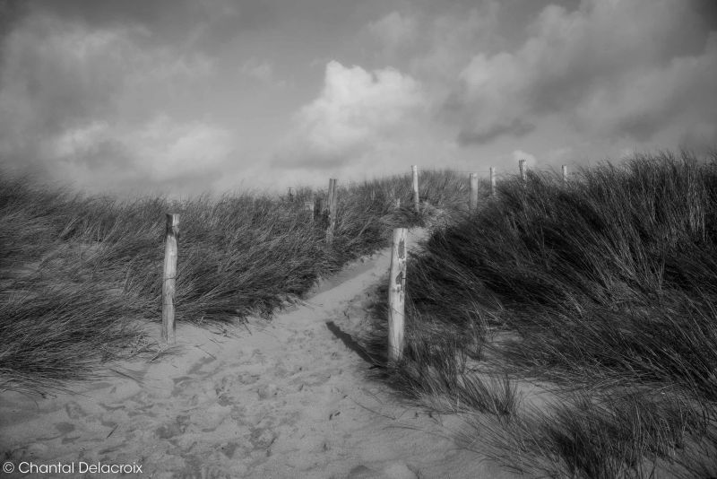 CD-221106-155 CD-221106-155