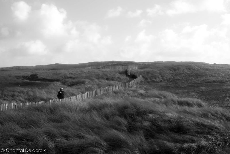 CD-221106-156 CD-221106-156