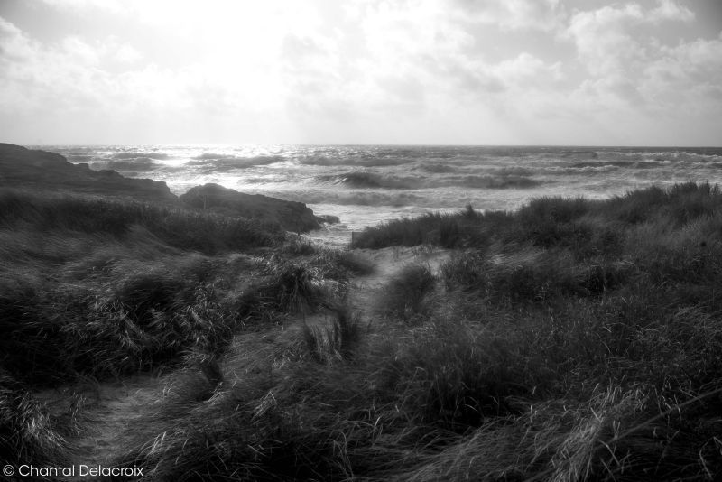 CD-221106-157 CD-221106-157