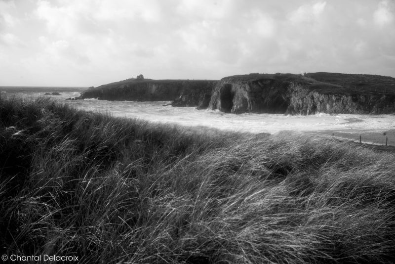 CD-221106-158 CD-221106-158