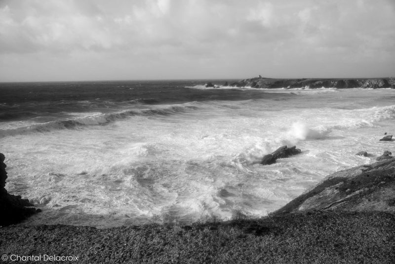 CD-221106-166 CD-221106-166