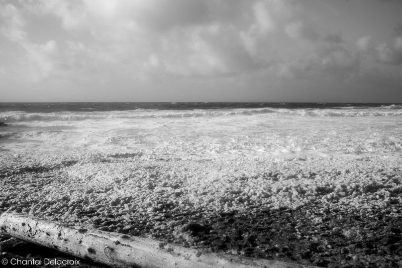 CD-221106-169 CD-221106-169