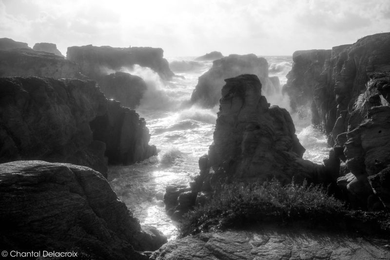 CD-221106-173 CD-221106-173