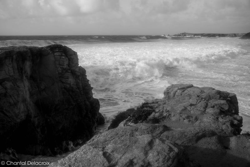 CD-221106-176 CD-221106-176