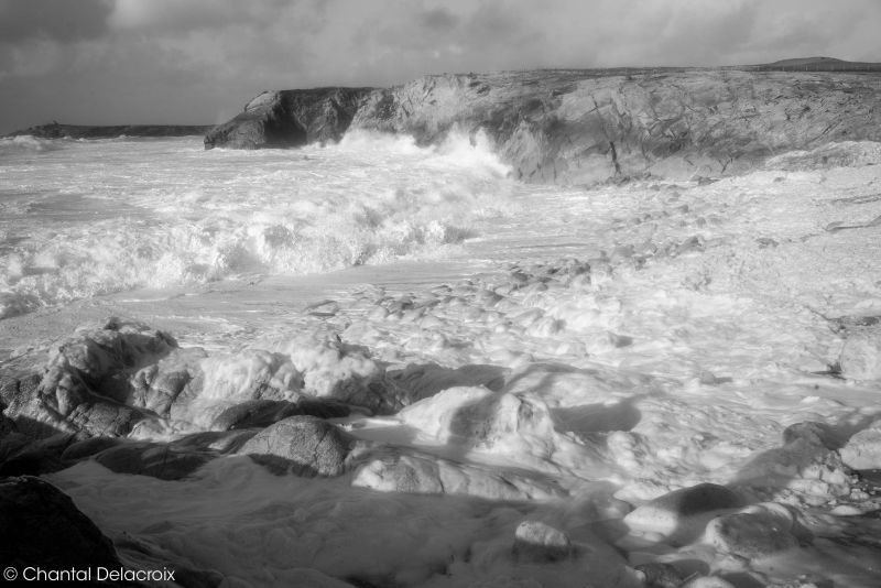 CD-221106-183 CD-221106-183