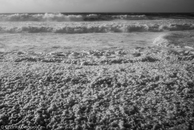 CD-221106-196 CD-221106-196