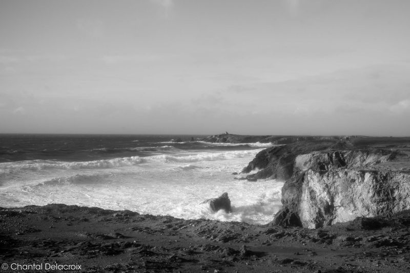 CD-221106-199 CD-221106-199