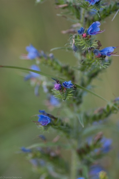 CD_110724_108 CD_110724_108