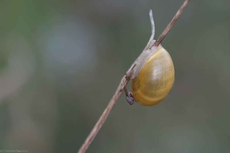 JP_110724_127 JP_110724_127