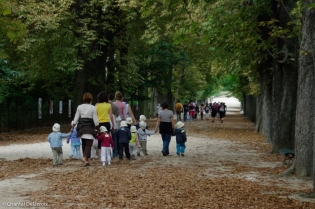 Paris 5, Jardin des Plantes, 11 aout 2008