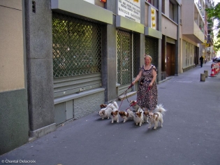 Femme aux chiens dans le 12ème