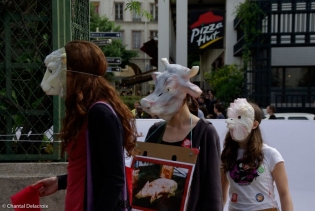 Paris 01, Les halles, 18 mai 2008