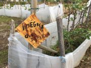 Integraterre-20