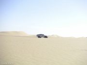 Maur-290