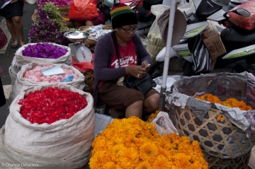 Bali-Marche-15