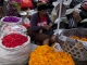Bali-Marche-15 Bali-Marche-15