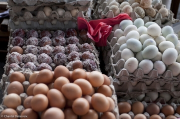 Bali-Marche-21