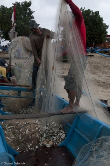 Bali-Marcheaupoisson-13